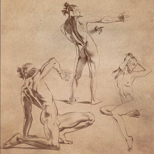 ANATOMIA ARTISTICA